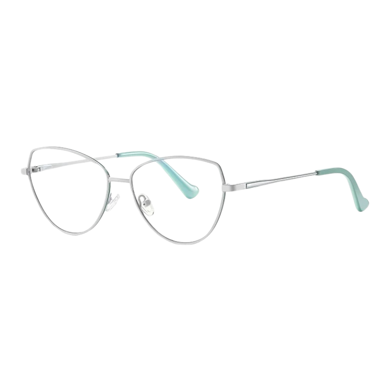 InfinityView Optik