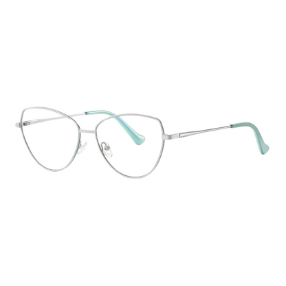 InfinityView Optik