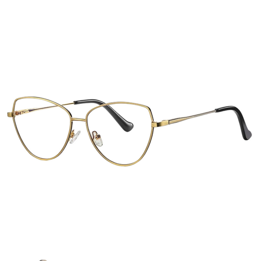InfinityView Optik